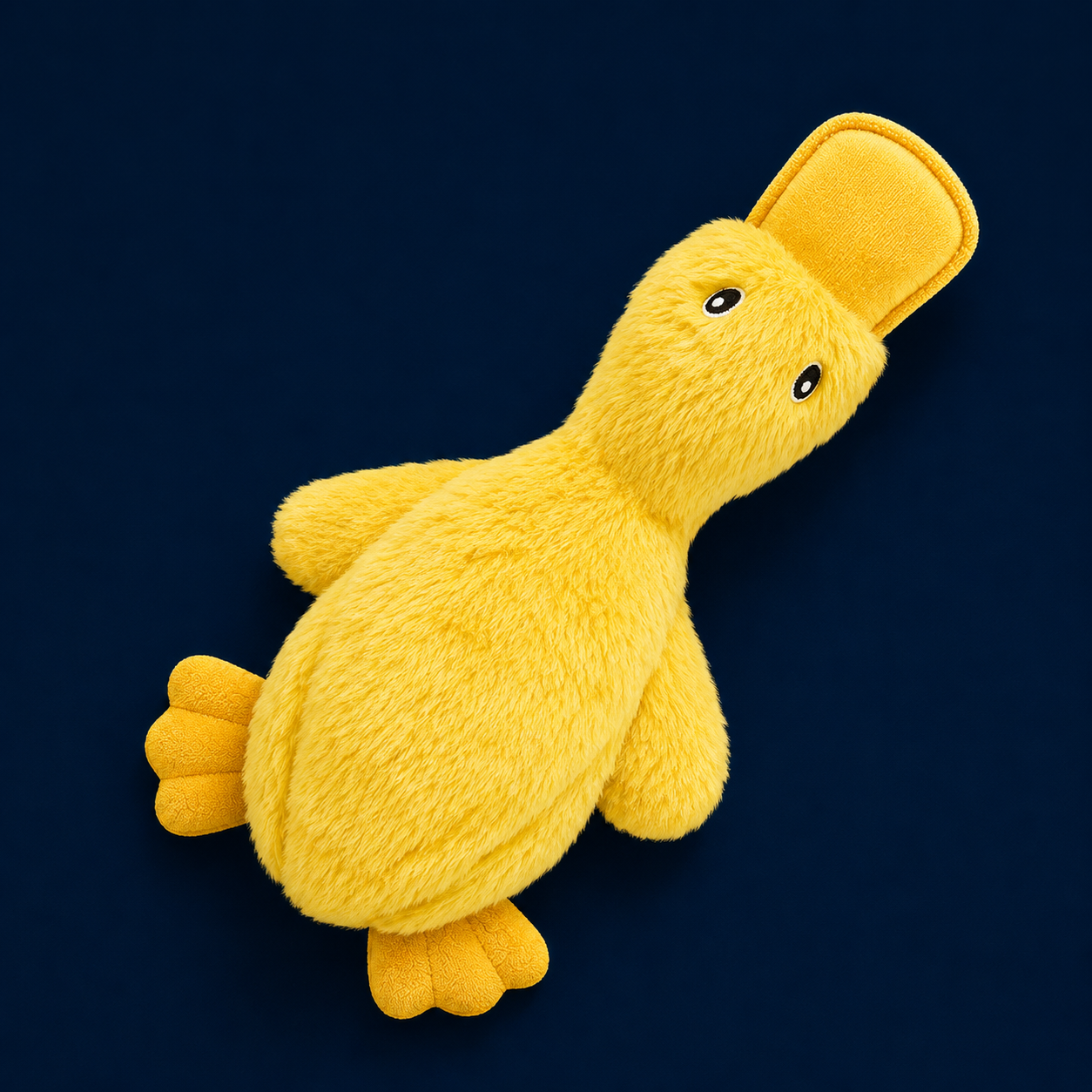 Squeaky Dog Chew Toy, Ideal Dog Toys for Chewers, Small, Medium & Large Dogs