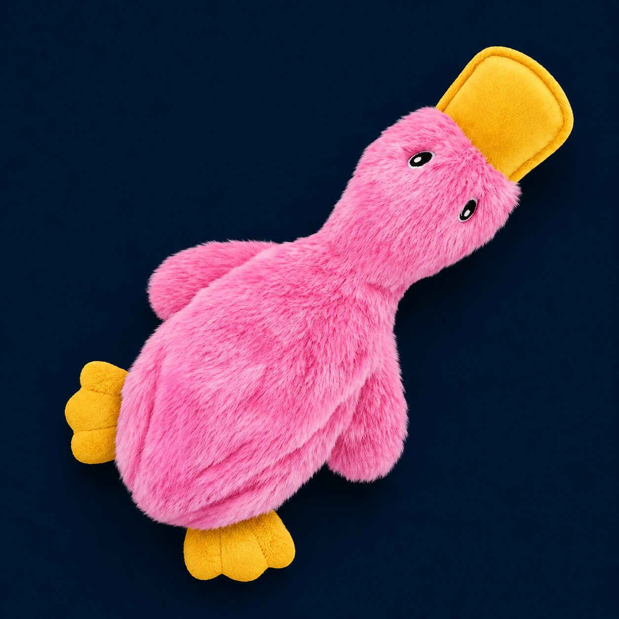 Squeaky Dog Chew Toy, Ideal Dog Toys for Chewers, Small, Medium & Large Dogs